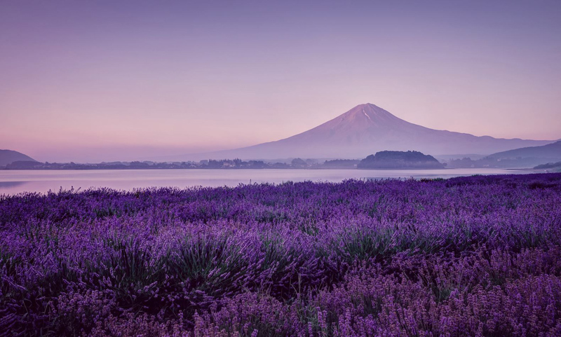 12370970_998933300148794_6420435124992925965_o