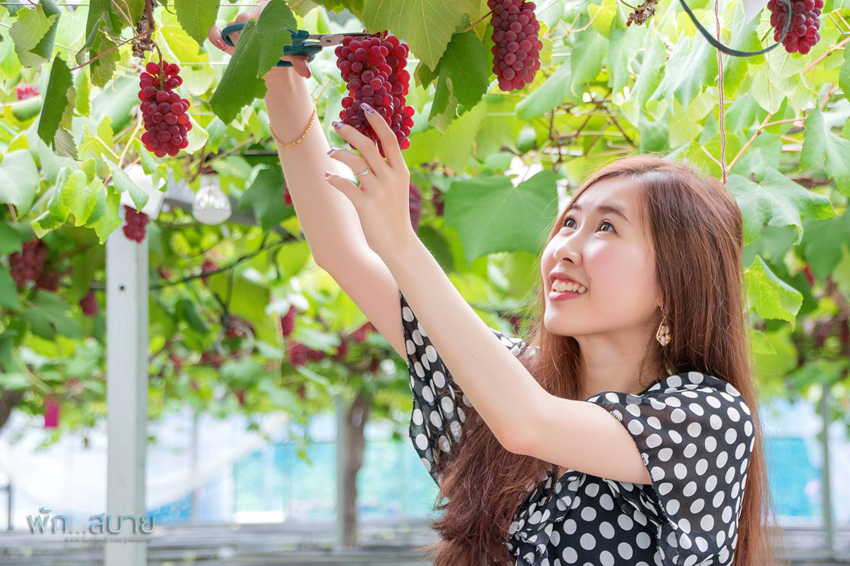 13653368_1081540058577922_2823680377838046996_o