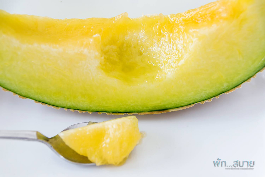 14445055_1128064793925448_6276660299839324595_o