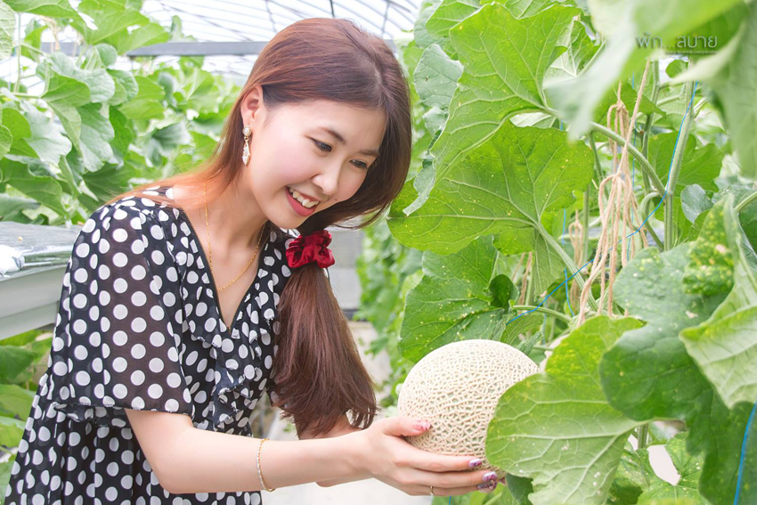 14468721_1128059887259272_5933103789296370452_o