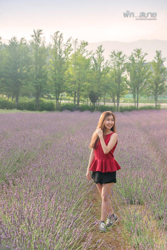 15181167_1279114715463983_4531895413288434856_n